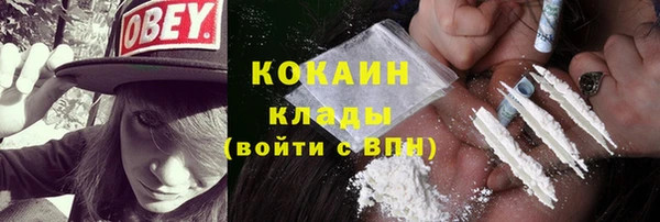 не бодяженный Дмитриев