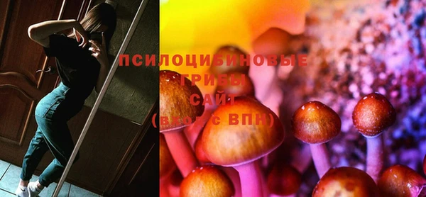 кокс Дмитров