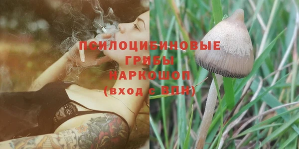 не бодяженный Дмитриев