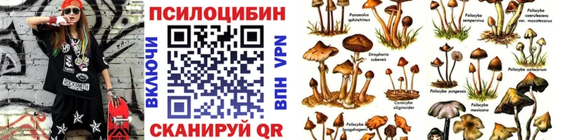 Псилоцибиновые грибы мухоморы гидра ТОР Нижнекамск